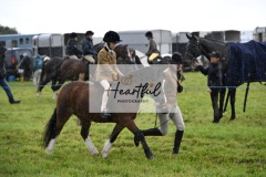 Holsworthy-Ring-B-43