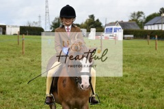 Holsworthy-Ring-B-45