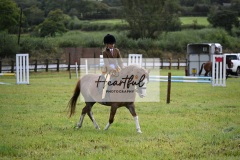 Holsworthy-Ring-B-46