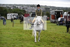 Holsworthy-Ring-B-50