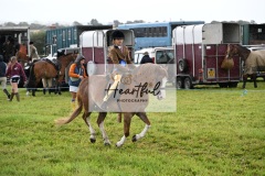 Holsworthy-Ring-B-53