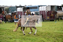 Holsworthy-Ring-B-54