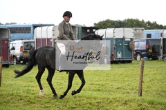 Holsworthy-Ring-B-55