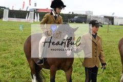 Holsworthy-Ring-B-59