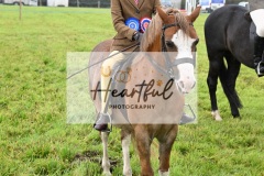 Holsworthy-Ring-B-60