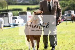 Holsworthy-Ring-B-61