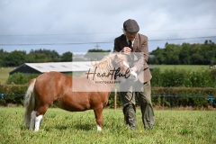 Holsworthy-Ring-B-62