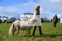 Holsworthy-Ring-B-63