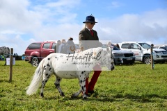 Holsworthy-Ring-B-65