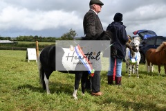 Holsworthy-Ring-B-66