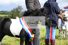 Holsworthy-Ring-B-67