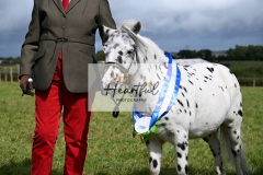 Holsworthy-Ring-B-68