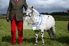 Holsworthy-Ring-B-69