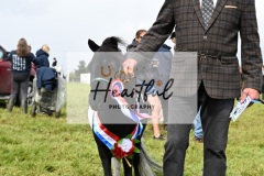 Holsworthy-Ring-B-70