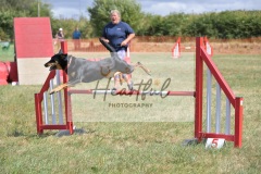 Int-G4-5-12
