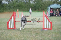 Int-G4-5-121