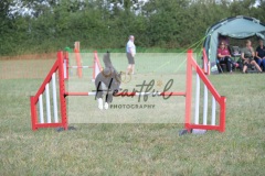 Int-G4-5-123