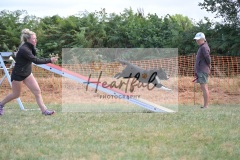 Int-G4-5-137