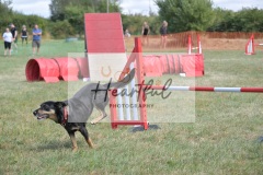 Int-G4-5-154