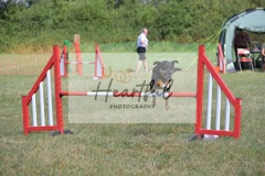 Int-G4-5-167