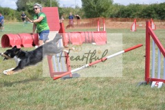 Int-G4-5-194