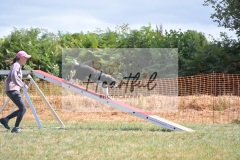 Int-G4-5-644