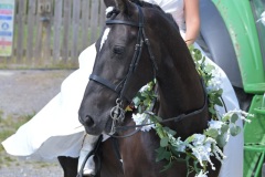 JJ-wedding-164