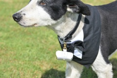 JJ-wedding-18