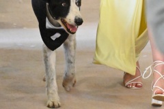JJ-wedding-268