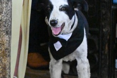JJ-wedding-313