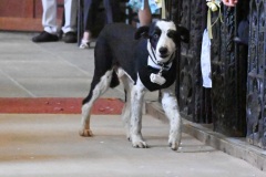JJ-wedding-365