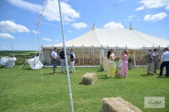 JJ-wedding-387