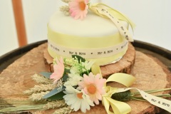 JJ-wedding-482