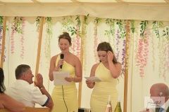 JJ-wedding-534