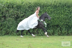 JJ-wedding-621