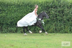 JJ-wedding-622