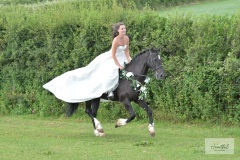 JJ-wedding-626