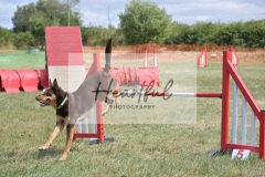 Lrg-G4-5-12