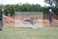 Lrg-G4-5-121