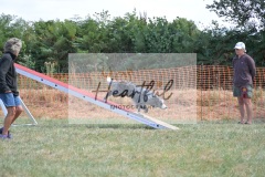 Lrg-G4-5-122