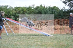 Lrg-G4-5-127