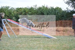 Lrg-G4-5-128