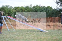Lrg-G4-5-129