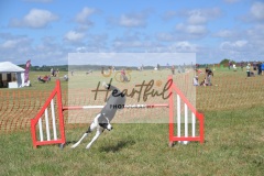 Lrg-G4-5-266