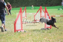 Med-G1-3-110