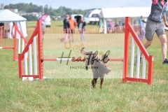 Med-G1-3-12