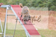 Med-G1-3-280