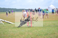 Med-G1-3-288