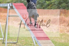 Med-G1-3-320