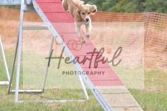 Med-G1-3-363